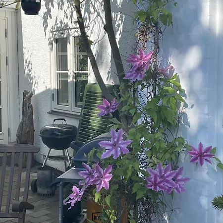 Charming Villa, Stylish Decor With Jacuzzi * Præstø